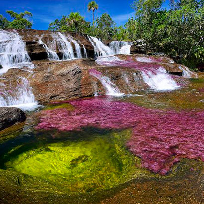 Caño Cristales