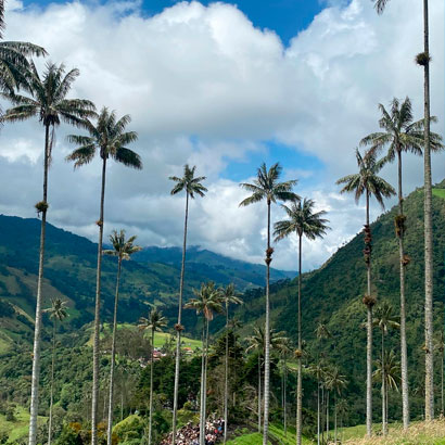 Valle de Cocora